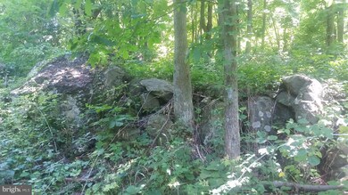 12D D Fire Trail Rd, Linden, VA 22642 - photo 3