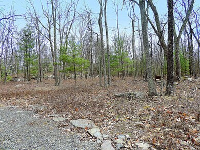 Lot #108 Blue Heron Way, Hawley, PA 18428 - photo 6