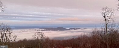 347 S Branch Mountain Rd, Moorefield, WV 26836 - photo 6