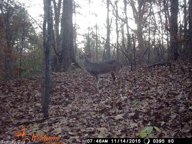 15.39 Greene Road 715, Paragould, AR 72450 - photo 6