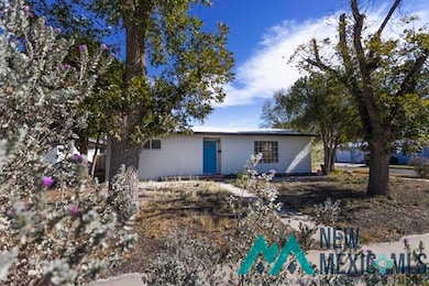 412 N Oak St, Carlsbad, NM 88220 - photo 3