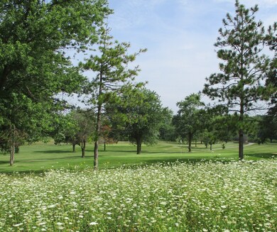 VE E Offner Rd, Beecher, IL 60401 - photo 6