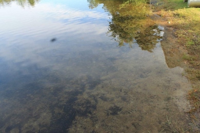 7 Fish Cove Rd, Meredith, NH 03253 - photo 4