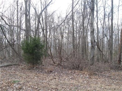 This is a view of the woods across the street from lot.