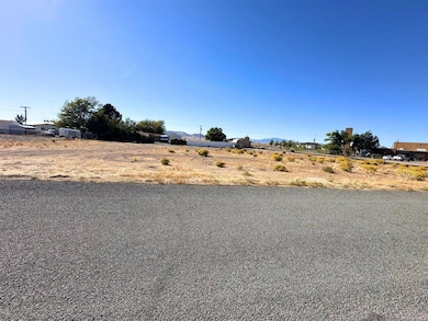 .6 AC Parcel #05-0015-0033, Milford, UT 84751 - photo 3