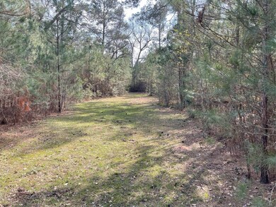 TBD Longbow St, Hockley, TX 77447 - photo 3