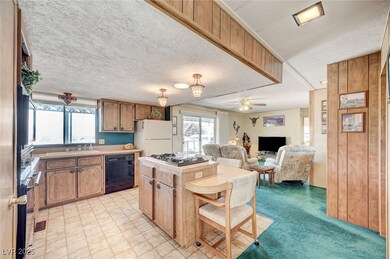 673 Mount Bona Way, Boulder City, NV 89005 - photo 7