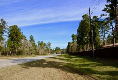 001 Nichols Sawmill Rd, Magnolia, TX 77355 - photo 6