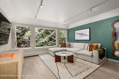 950 Vine St unit 950, Aspen, CO 81611 - photo 3