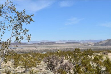 7157 Sunkist Rd, Joshua Tree, CA 92252 - photo 2