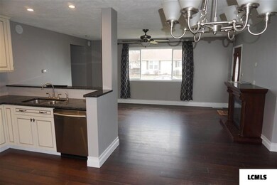 1228 N Ottawa St, Lincoln, IL 62656 - photo 6