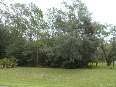 9701 N Langdon Rd, Citrus Springs, FL 34434 - photo 2