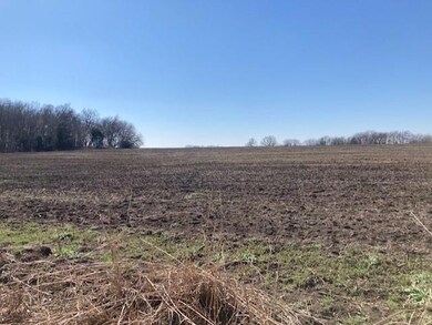 TBD County Rd 4142, Bonham, TX 75418 - photo 4