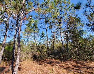 0 County Line Rd unit 19604811, Lee, FL 32059 - photo 5