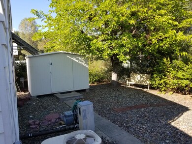red cedar shed
