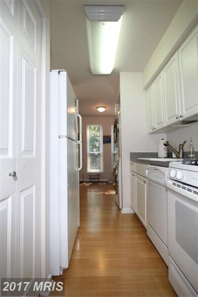 Chestnut Grove Condominiums unit 163, Reston, VA 20190 - photo 3