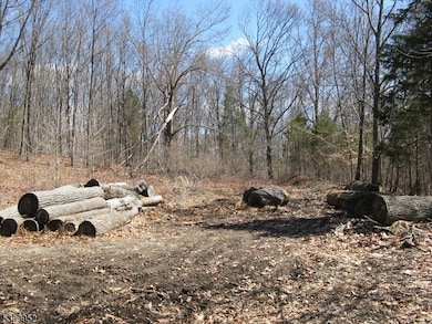 1313 State Route 57, Mansfield Twp., NJ 08865 - photo 3