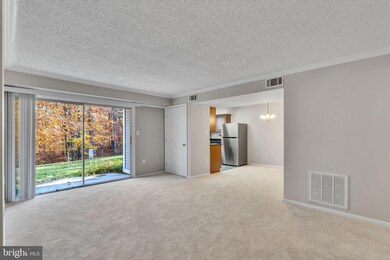 12249 Stevenson Ct unit 12249, Woodbridge, VA 22192 - photo 2