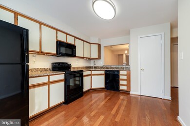 9519 Hickory Limb, Columbia, MD 21045 - photo 4
