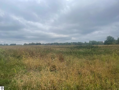 TBD E Denver Rd, Rosebush, MI 48622 - photo 6