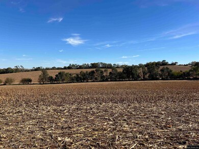 Parcel 5 Spring Saunders County Acreages County Rd, Yutan, NE 68073 - photo 6
