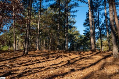 00 Hideaway Cove Dr, Seneca, SC 29672 - photo 7