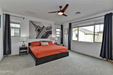 Expansive Master Bedroom