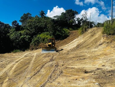 0 unit LOT 21, Juncos, PR 00777 - photo 6