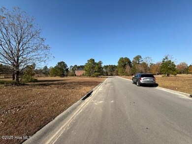 151 Pine Ridge Dr, Wallace, NC 28466 - photo 4