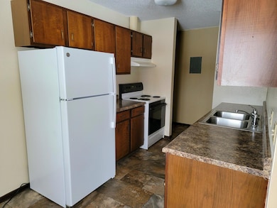 320 1st St unit 4, Clinton, MN 56225 - photo 4