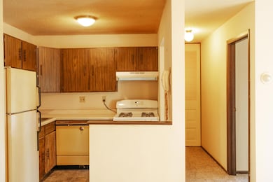 7454 72nd Ln N unit 308, Brooklyn Park, MN 55428 - photo 6