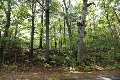 Lot 5