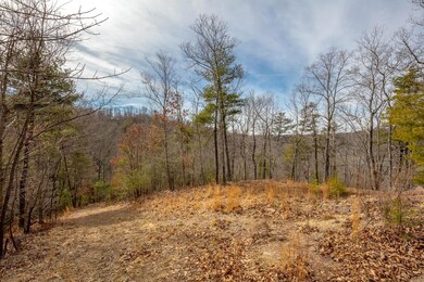 TBD Blackberry Ln, Hiwassee, VA 24347 - photo 7