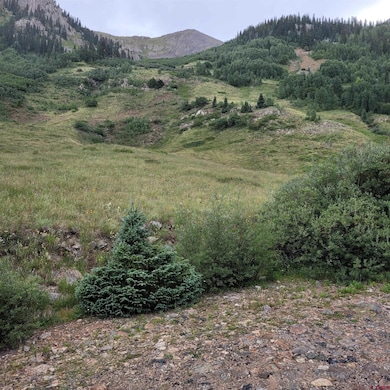 TBD Cr 124, Hesperus, CO 81326 - photo 2