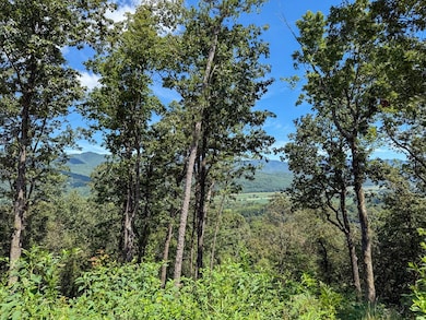 6 Black Rock Trail, Andrews, NC 28901 - photo 7