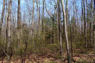 Parcel 1 Ridgeview Rd, Rochester, NY 12446 - photo 5