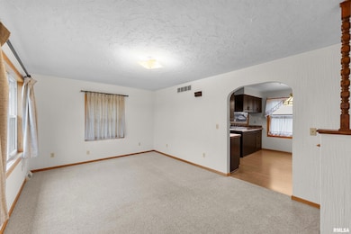 703 2nd St, Colona, IL 61241 - photo 2