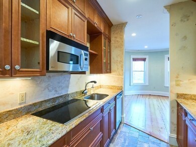 19 E Concord St unit 2, Boston, MA 02118 - photo 6