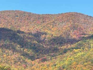 10617 U S 64 E, Hayesville, NC 28904 - photo 3