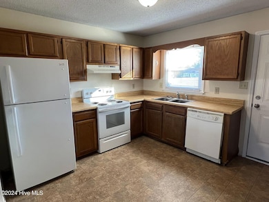 217 Appaloosa Dr, Jacksonville, NC 28540 - photo 3