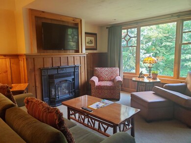 7 Whiteface Inn Ln unit 205 Int 11, Lake Placid, NY 12946 - photo 3