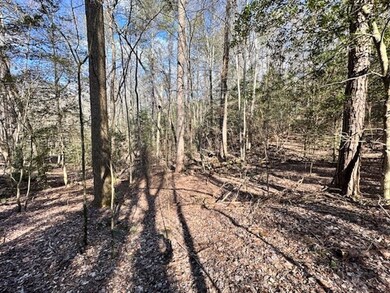 LT 3764R Eagle Mountain Dr, Ellijay, GA 30540 - photo 7