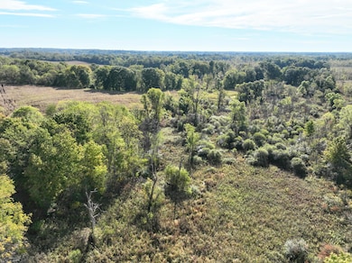 VL Hoffman Street Lot#wp001 St, Vandalia, MI 49095 - photo 6