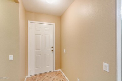 04-Ocotillo