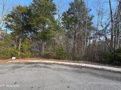 0 Divot Place unit 1323315, Tazewell, TN 37879 - photo 6