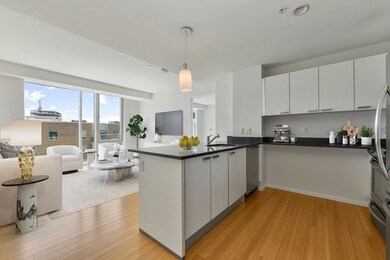 Sierra & Tango Condominiums unit T714, Cambridge, MA 02141 - photo 5