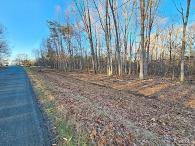 0 Physic Spring Rd, Dillwyn, VA 23936 - photo 5