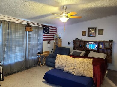 119 Alice Springs Ln, Weatherford, TX 76085 - photo 7