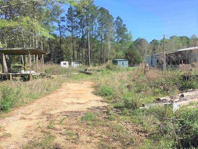 16563 Gantt Lake Rd, Dozier, AL 36028 - photo 5
