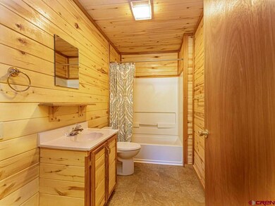 21267 Ward Creek Rd, Cedaredge, CO 81413 - photo 7